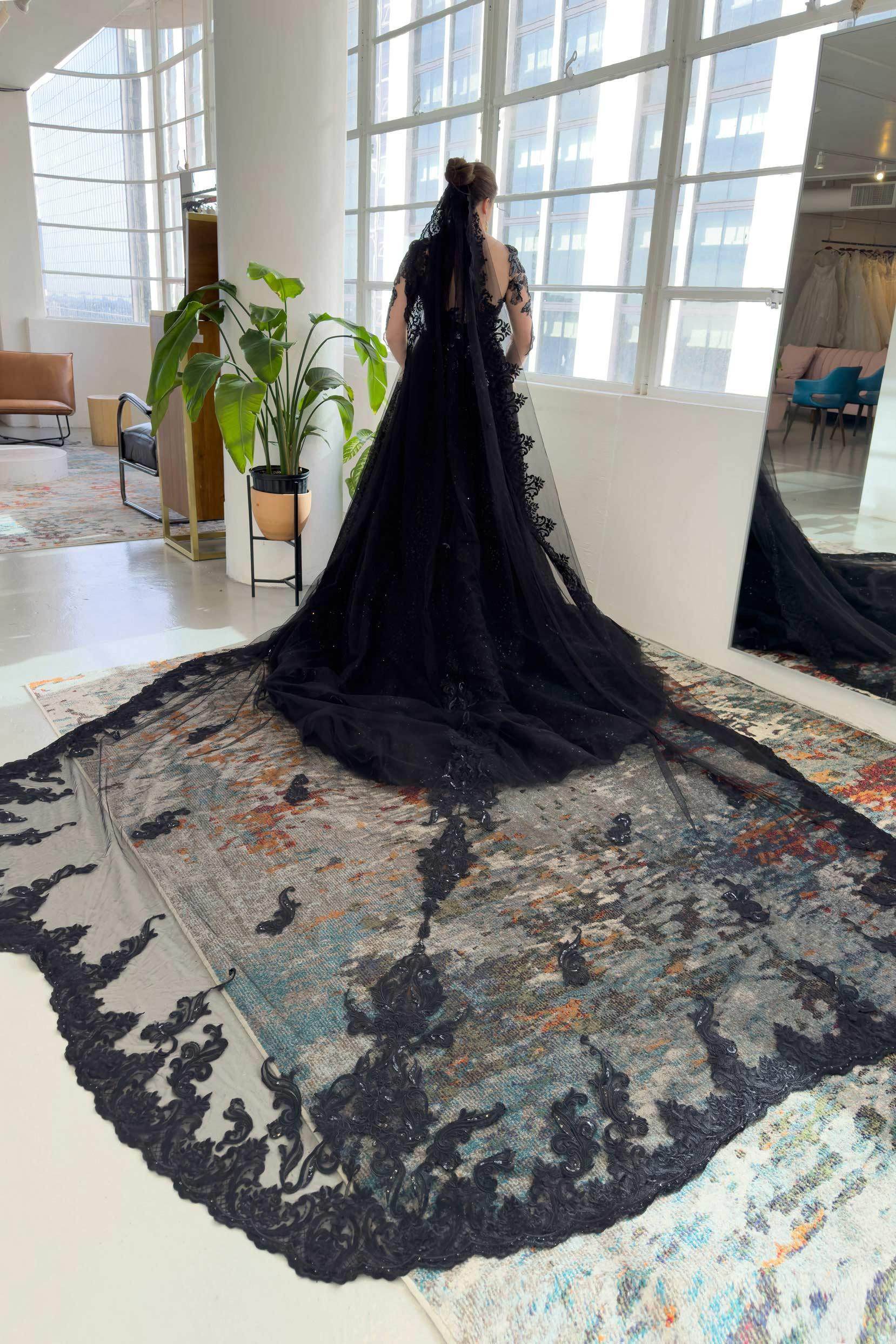 One-tier Lace Edge Tulle Cathedral Veils with Appliques CV0339 - COCOMELODY